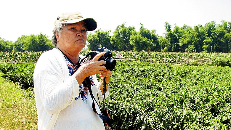 Bà Tôn Nữ Thị Hà trên vùng ớt Duy Xuyên, Quảng Nam.
