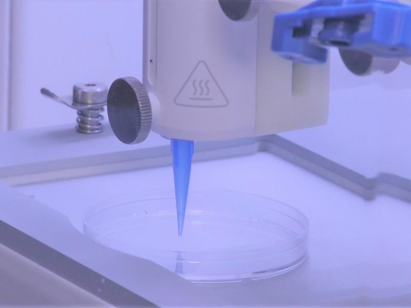 Có thể tạo lớp da gồm cả mạch máu bằng máy in sinh học 3D