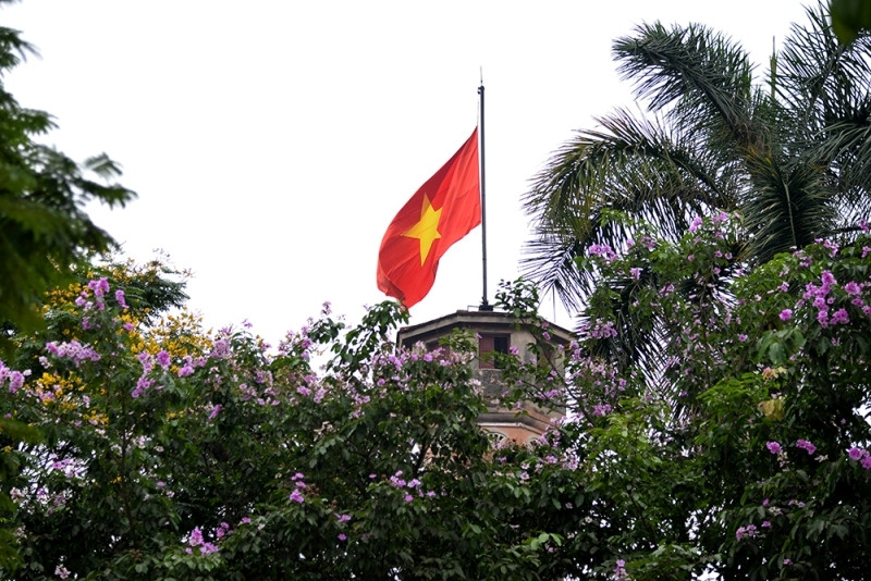 Được biết đến như một loài hoa đặc trưng của miền nhiệt đới Nam Á, cây bằng lăng, ban đầu được trồng để làm cảnh quan đô thị và để tạo bóng mát dần trở thành một điểm nhấn quen thuộc với Hà Nội vào mỗ