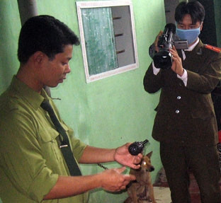 Quả lựu đạn được tìm thấy chiều 15-3
tại nhà nghỉ Kim Cúc, TP Nam Định.