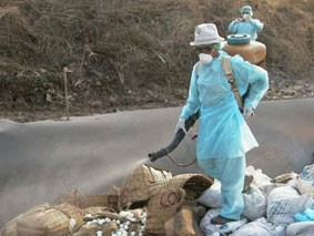 Một số điểm cần lưu ý khi tiêu huỷ gia súc, gia cầm     