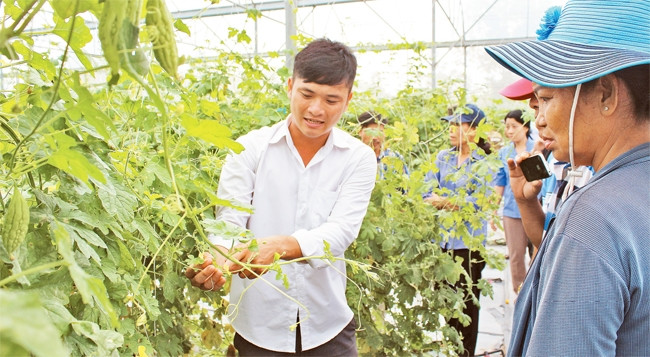 Nông dân huyện Cần Giờ tham quan, học tập mô hình sản xuất hiệu quả tại địa phương.