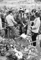 Chợ hoa Hàng Lược (Hà Nội)
Tết năm 1973.