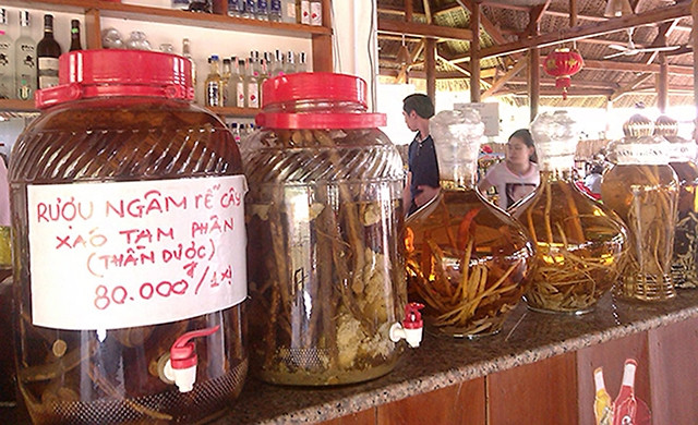 Nhiều loại rượu ngâm rễ, củ cây rừng rất khó kiểm chứng chất lượng và độ an toàn.
