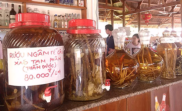 Nhiều loại rượu ngâm rễ, củ cây rừng rất khó kiểm chứng chất lượng và độ an toàn.