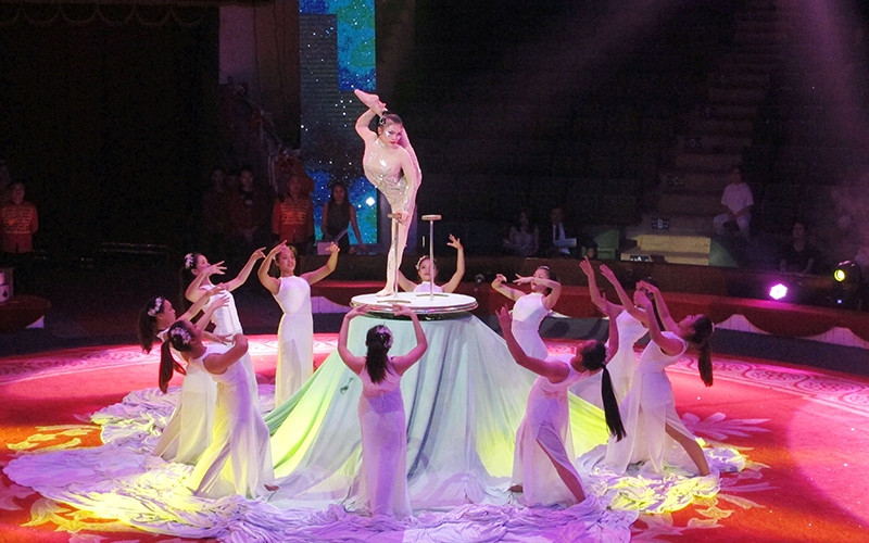 Một học sinh của trường xiếc mỗi ngày học ít nhất với tám giáo viên từ các môn cơ bản cho tới văn hóa phổ thông.