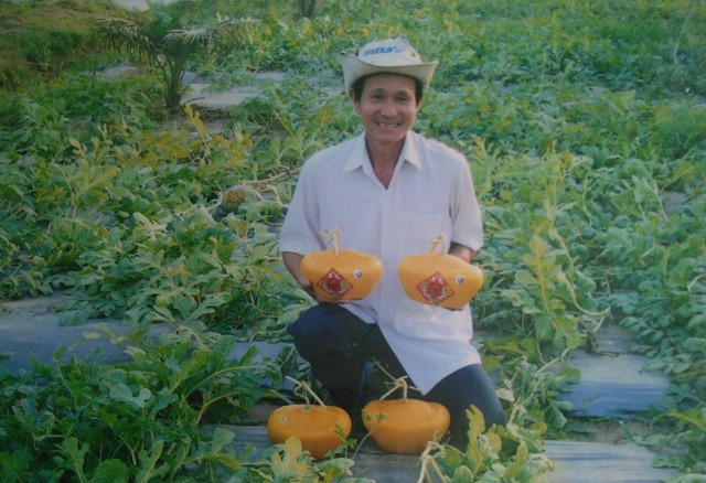 Nông dân Trần Thanh Liêm trên ruộng dưa hấu tạo hình sắp thu hoạch.