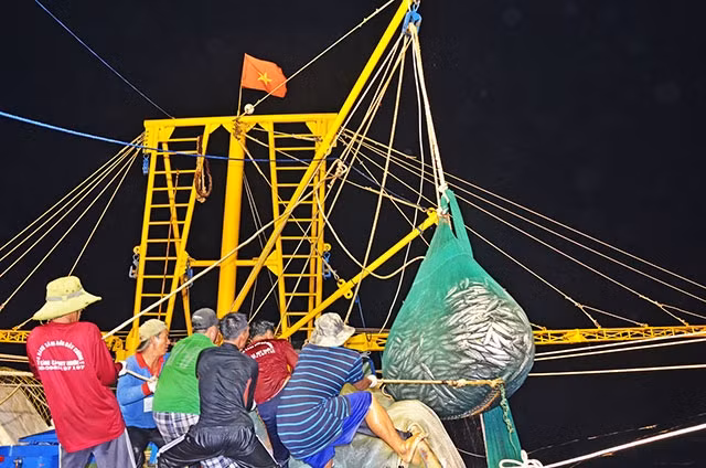 Các chủ tàu đang gặp khó khi tìm kiếm bạn biển.