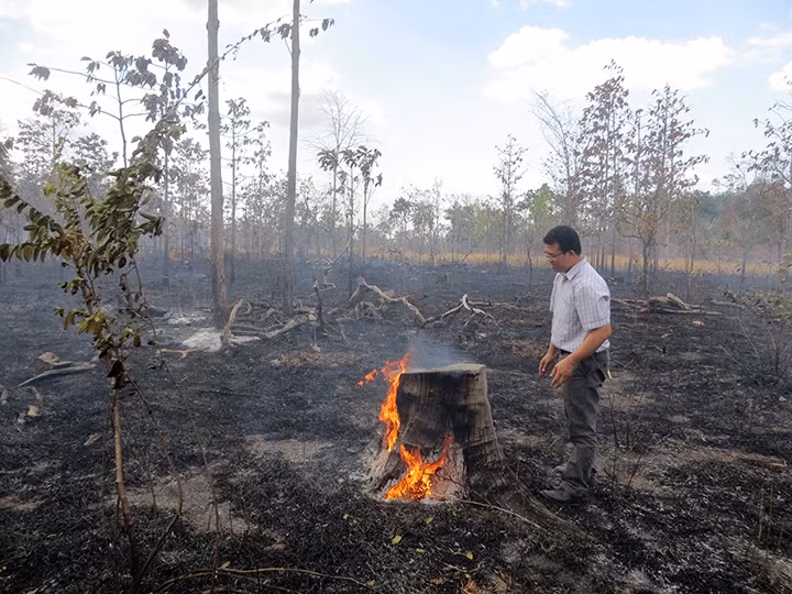 Hiện trường rừng tự nhiên bị phá trên địa bàn xã Ia Jlơi, huyện Ea Súp, tỉnh Ðác Lắc. 