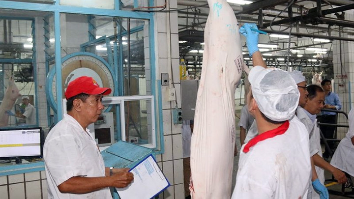 Thịt lợn được thực hiện giết mổ trên dây chuyền công nghiệp có sự kiểm soát chặt chẽ bởi ngành chức năng. Ảnh: HOÀNG YẾN
