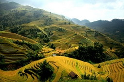 Ruộng bậc thang ở xã La Pán Tẩn Mù Cang Chải, Yên Bái) vừa được công nhận là danh lam thắng cảnh cấp quốc gia.