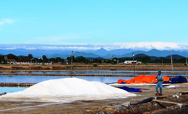 Người dân các vùng muối luôn thấp thỏm vì trồi sụt giá.