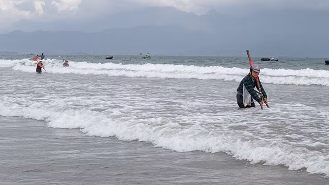 Ngư dân cào ốc dọc biển Thanh Khê.