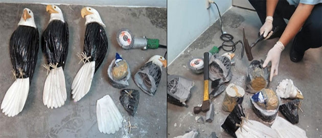 Tang vật cocain bên trong những tượng chim đại bàng bị phát hiện.