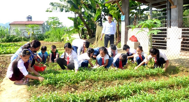 Trồng rau và chăn nuôi lợn, dê theo mô hình "nông trại trường học" ở Trường tiểu học Bản Xen, huyện Mường Khương, tỉnh Lào Cai.