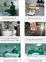 Việc thu gom, nuôi cấy và điều trị bằng tế bào gốc tại Bệnh viện Huyết học và truyền máu TP Hồ Chí Minh.