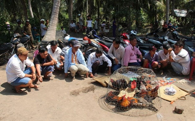  Tang vật gồm 100 triệu đồng tiền mặt, 10 con gà đá, 22 xe máy…