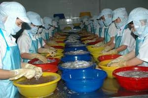 Chế biến thủy sản xuất khẩu ở Kiên Giang.