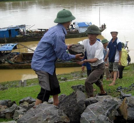 Nhân dân Thanh Hóa nỗ lực gia cố đê sông Chu.                     