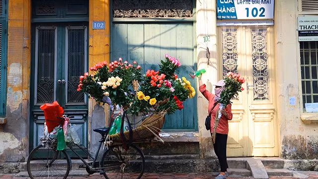 Những nhành hoa rực rỡ góp phần tạo nên diện mạo nơi phố phường.