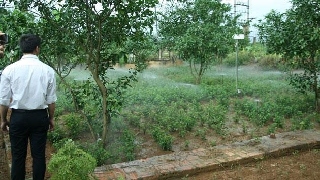 Cây trồng được tưới bởi công nghệ Imetos.