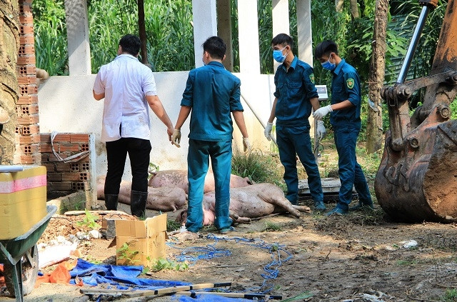 Lực lượng chức năng đang tiến hành các biện pháp tiêu hủy.