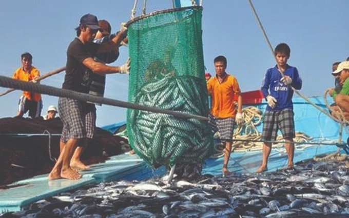 Theo kế hoạch cuối tháng 10-2019, Đoàn Thanh tra của Tổng vụ các vấn đề về Biển và Thủy sản của EU (DG-MARE) sẽ sang Việt Nam kiểm tra, đánh giá tình hình thực hiện khuyến nghị của EC về IUU (ảnh inte