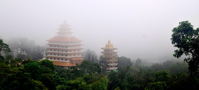 Lên non tìm giọt chuông vàng