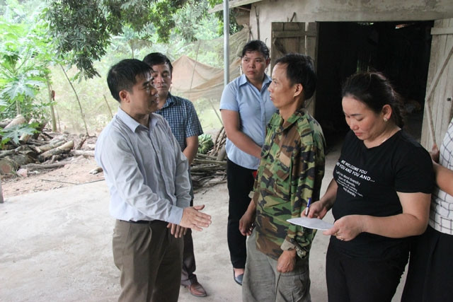 Lực lượng chức năng tiến hành tiêu hủy đàn lợn nhiễm dịch.