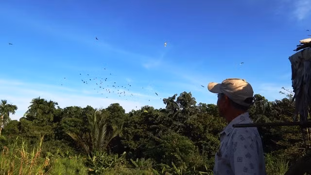 Ông Hai Chìa bên vườn chim trời của gia đình. 