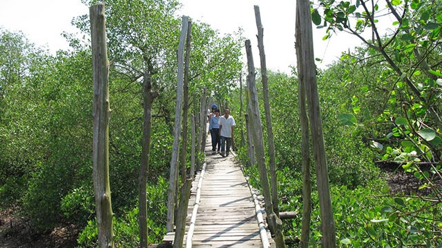 Khu du lịch sinh thái Cồn Vành (Thái Bình).