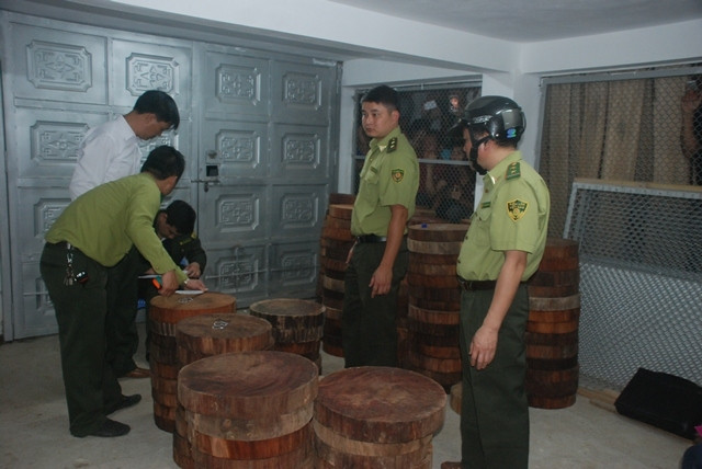 Lực lượng chức năng kiểm tra, xác minh số gỗ nghiến cắt khúc thu giữ tại cơ sở chế biến kinh doanh gỗ Hoạch Thục, tổ 5, thị trấn Việt Lâm, huyện Vị Xuyên.