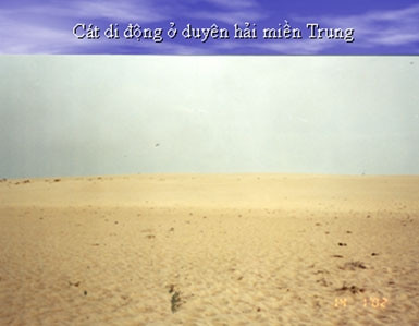 28% diện tích đất đai của Việt Nam bị hoang hóa