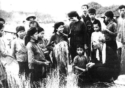 Bác Hồ thăm nông dân gặt lúa trên cánh đồng xã Hùng Sơn (huyện Đại Từ, Thái Nguyên) vào năm 1954.