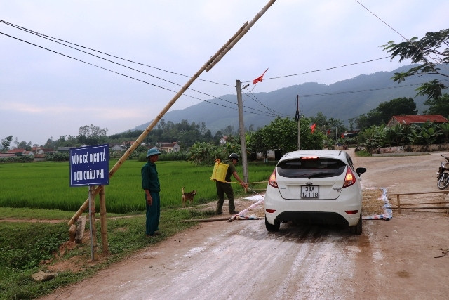 Quỳnh Lưu là huyện đầu tiên ở Nghệ An hết dịch tả lợn châu Phi. (Ảnh minh họa)