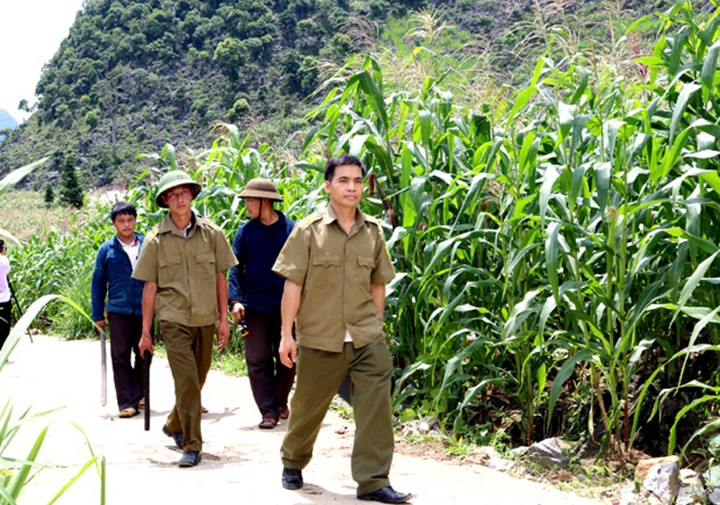 Tổ tự quản thôn Lũng Lừ A, xã Lũng Pù, huyện Mèo Vạc (Hà Giang) tuần tra giữ gìn an ninh trật tự trên địa bàn. Ảnh : DUY TUẤN