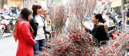 Người dân chọn mua cành đào tại chợ hoa phố Hàng Lược.