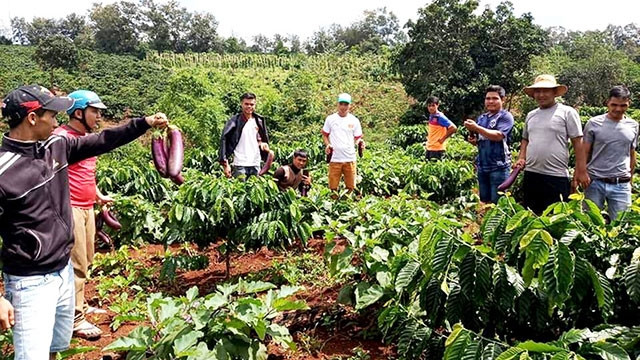 Các thanh niên DTTS trong một chuyến trải nghiệm thực tế ở các buôn làng tỉnh Đắk Lắk.