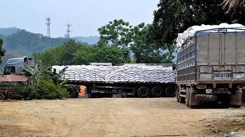 Xe chở gạo bị ùn ứ tại lối mở Bản Quẩn, huyện Bảo Thắng, tỉnh Lào Cai.