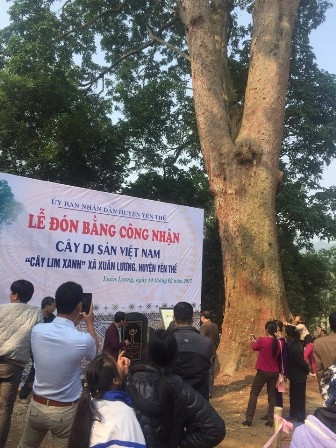 Lễ đón nhận Bằng công nhận cây di sản Việt Nam.