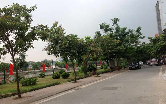 Đường Trịnh Công Sơn ở Hà Nội.
