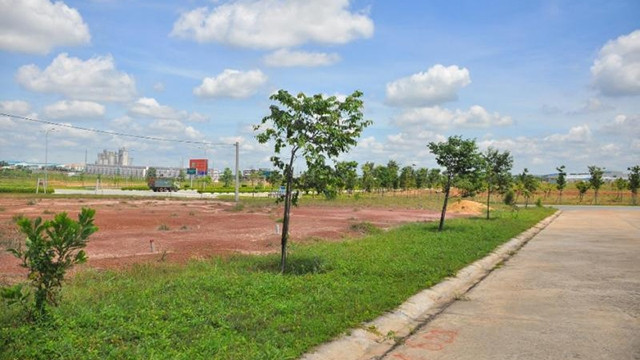 Ảnh minh họa. Nguồn: INTERNET
