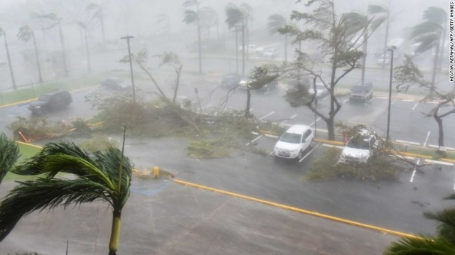 Nhiều cây tại San Juan, Puerto Rico bị gió quật đổ. (Ảnh: CNN)