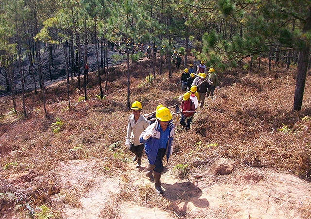 Mô hình cộng đồng quản lý, bảo vệ rừng ở tỉnh Lâm Đồng có sự tham gia của nhiều người dân tộc thiểu số.
