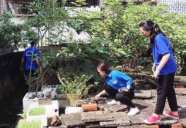 Đoàn viên, thanh niên Thủ đô tích cực tham gia dọn vệ sinh, đẩy lùi bệnh sốt xuất huyết.