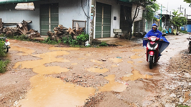 Con đường đi vào DA Nhà máy Dệt Thống Nhất luôn trong cảnh lầy lội mỗi khi trời mưa xuống.
