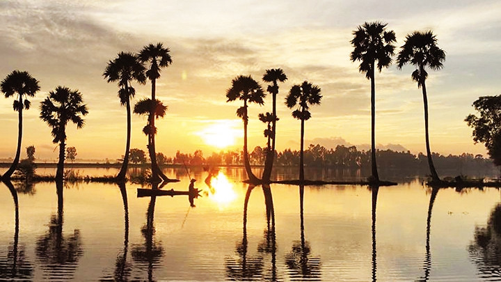 Cánh đồng thốt nốt (Tri Tôn, An Giang) mùa nước nổi.