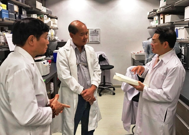 Nhà nghiên cứu y học phương Đông Nguyễn Thái Hà, GS.BS Phan Toàn Thắng và nhà báo Duy Hưng tại phòng thí nghiệm tế bào gốc ở Singapore.