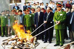 Tiêu huỷ ma tuý.