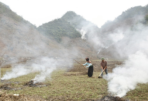Tình trạng phá rừng, đốt nương bừa bãi đang diễn ra tại xã Tú Nang, huyện Yên Châu.